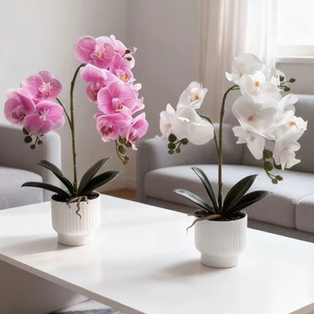 Orchid Phalaenopsis - Multi-Bloom Gesimuleerde Vlinderorchidee DIY Witte Bloempot