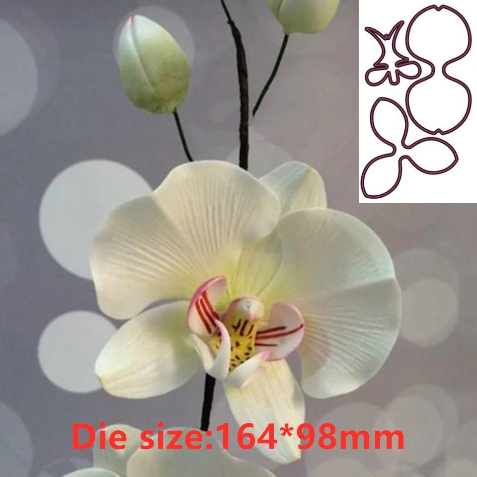 Orchid Phalaenopsis - Orchidee Bloem Metaal Gesneden Dies Stencils