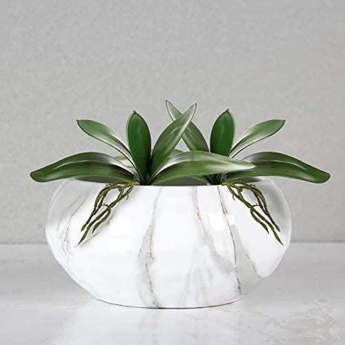 Kunstmatige Phalaenopsis Laat  - Orchid Phalaenopsis recensie en prijs