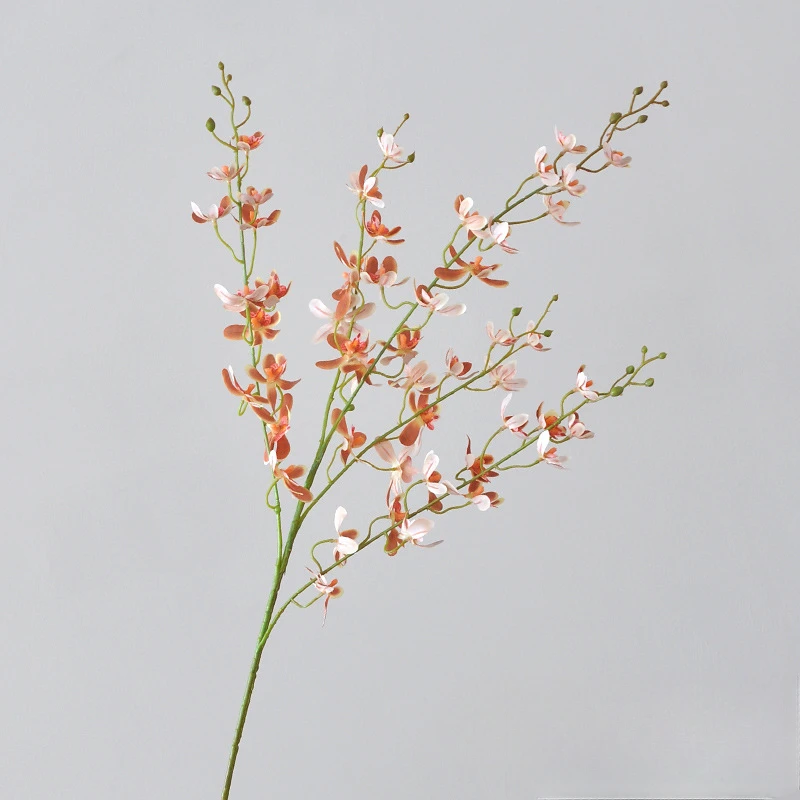 105CM 5-vork Bandai Orchidee K - Orchid Phalaenopsis recensie en prijs