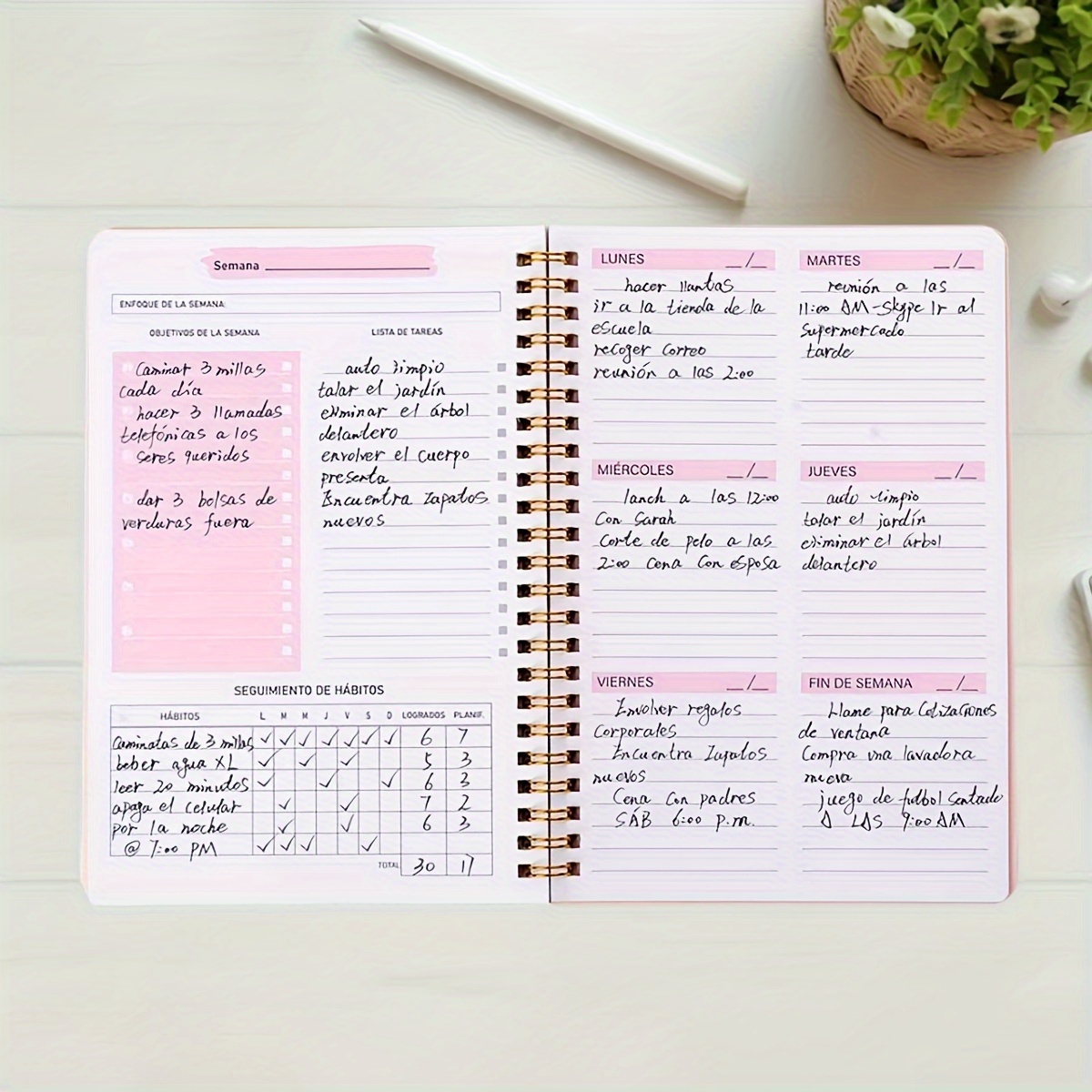 52-weken Engelse weekplanner E - Planned Parenthood recensie en prijs