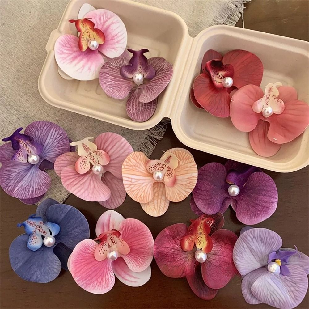 1 stks Phalaenopsis Parel Haar - Orchid Phalaenopsis recensie en prijs