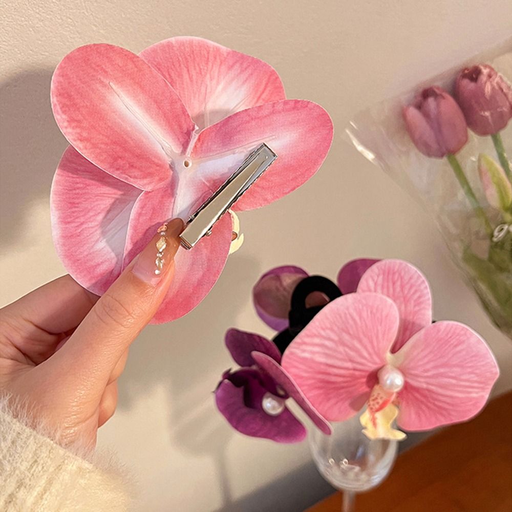 1 stks Phalaenopsis Parel Haar - Orchid Phalaenopsis recensie en prijs